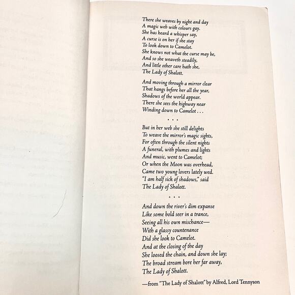 A Great and Terrible Beauty (The Gemma Doyle Trilogy) Book by Libba Bray - Picture 7 of 7